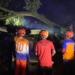 Pemotor tewas tertimpa pohon tumbang di Trenggalek