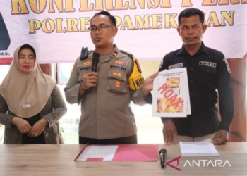 Polres Pamekasan: Kabar ulat bulu mematikan itu bohong