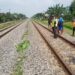 Pedagang Sayur di Ngawi Tewas Mengenaskan Tertabrak KA Sancaka, Potongan Tubuh Ditemukan hingga 500 Meter