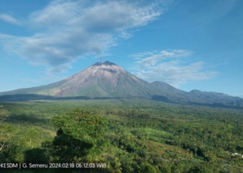 BPBD: Erupsi Gunung Semeru setiap hari tidak berdampak pada aktivitas warga