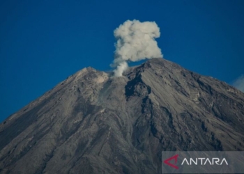 Semeru erupsi setiap hari dalam sepekan terakhir