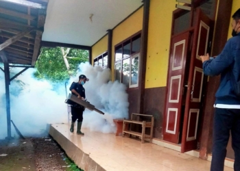 Dinas Kesehatan Situbondo catat kasus DBD menurun di awal tahun
