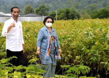 Jokowi Respons Kabar Rencana Bertemu Megawati Dijembatani Sultan DIY