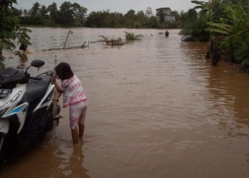 Hujan Deras Landa Lampung Selatan, BPBD Evakuasi Warga