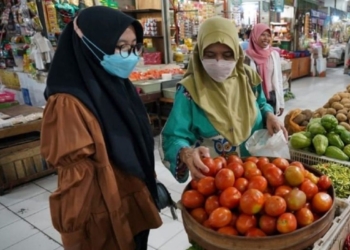 Harga tomat di Kabupaten Madiun naik akibat stok terbatas