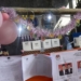Dinkes Sulsel Catat 963 KPPS Sakit Kelelahan di Pemilu, Ada yang Wafat