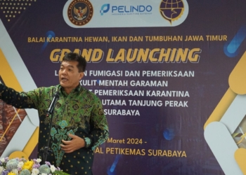 Barantin luncurkan layanan karantina Pelabuhan Tanjung Perak