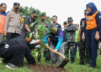Pemkot Kediri reboisasi di kawasan lingkar Gunung Klotok