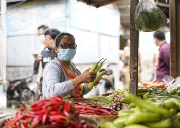Pemkab Kediri sebut harga cabai stabil didukung stok melimpah