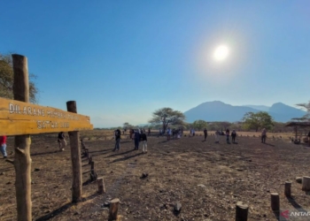 TN Baluran Situbondo tutup sementara dampak cuaca ekstrem