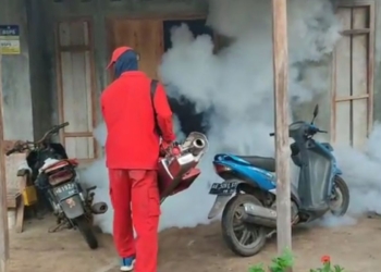 Dinkes Ponorogo waspadai potensi peningkatan kasus demam berdarah