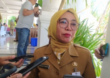 Dinkes Ponorogo berlakukan status waspada wabah DBD