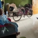 Kisah pilu keluarga Sumiati yang harus pergi dari rumah