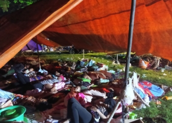 Gusdurian ajak semua elemen turut bantu masyarakat terdampak gempa Bawean