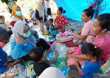 Dinkes Gresik beri pelayanan kesehatan keliling bagi warga Bawean