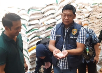 Satgas Pangan inspeksi persediaan beras di distributor dan Bulog