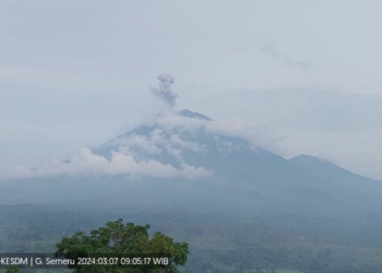 Erupsi Semeru, tinggi letusan capai satu km di atas puncak
