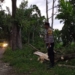 Satu korban meninggal tertimpa pohon tumbang di Jember