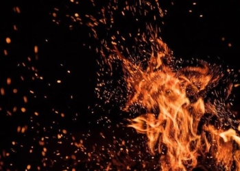 Serangan Harimau, Ratusan Warga Bakar Kantor PPA Resort Suoh Lampung