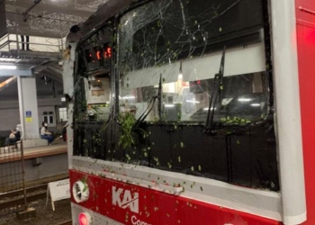 Kaca Depan KRL Pecah Imbas Kena Pohon Tumbang di Rel