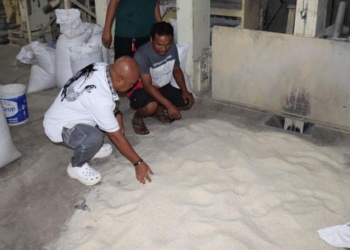 Beras Bulog Diputihkan Jadi Premium Terbongkar, Sudah Terjual 270 Ton