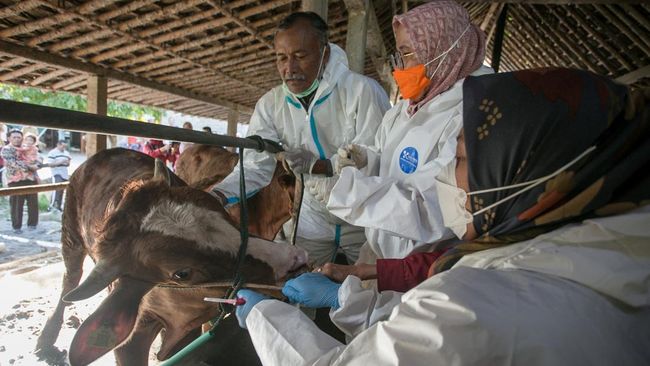 45 Warga Sleman dan Gunungkidul Suspek Antraks, 1 Meninggal