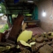 Gempa Garut, Rumah dan Bangunan di Sukabumi hingga Tasikmalaya Rusak