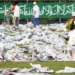Warga diimbau tidak gunakan koran untuk alas shalat Id