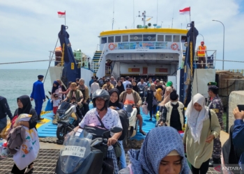 Kapal gratis dari Madura ke Situbondo angkut 350 penumpang