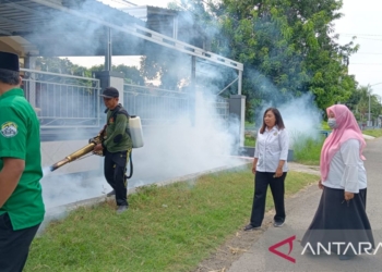 Dinkes Situbondo rutin lakukan pengasapan basmi nyamuk “Aedes aegypti”