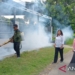 Dinkes Situbondo rutin lakukan pengasapan basmi nyamuk “Aedes aegypti”