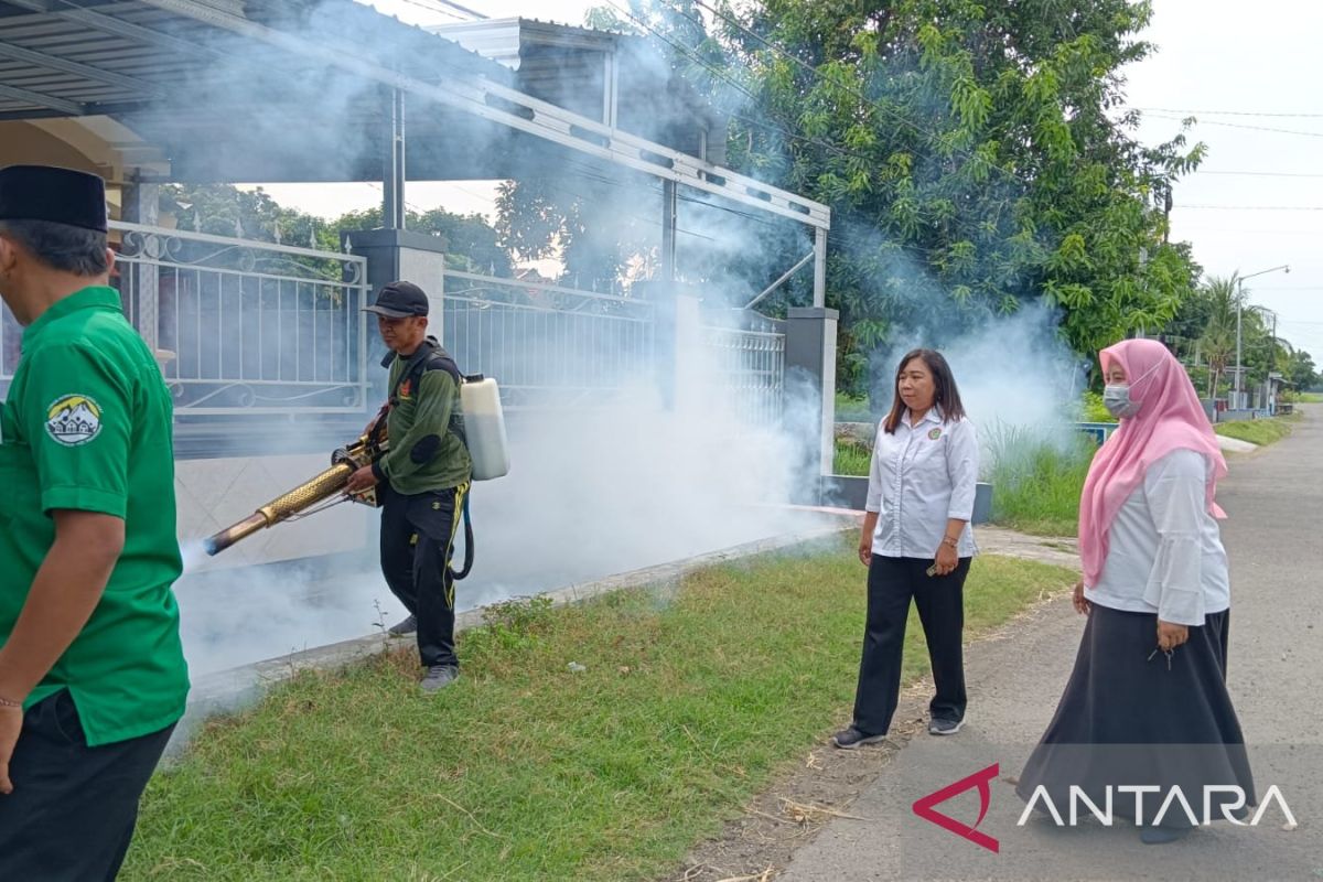 Dinkes Situbondo rutin lakukan pengasapan basmi nyamuk “Aedes aegypti”