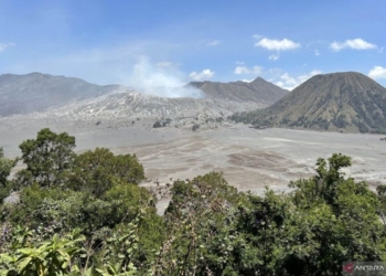 Viral video mobil pribadi masuk Savana Bromo, BB TNBTS beri penjelasan