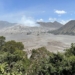 Viral video mobil pribadi masuk Savana Bromo, BB TNBTS beri penjelasan