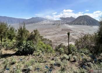 Libur Lebaran, TNBTS belum tambah kuota wisatawan Bromo