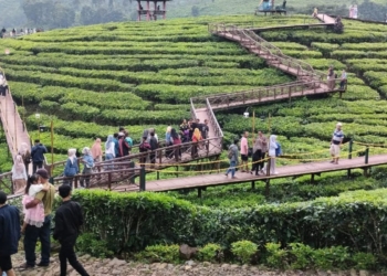 Wisatawan ke Gunung Gambir Jember terus meningkat saat libur Lebaran
