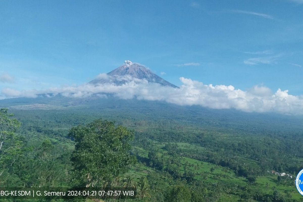 Semeru tiga kali erupsi dengan letusan hingga 600 meter