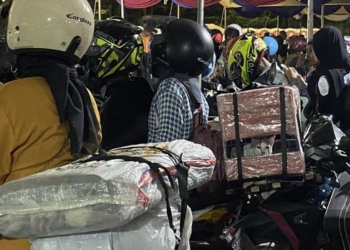 Cerita Pemudik Boyong ‘Anabul’ Kucing Kesayangan Mudik Lebaran
