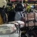 Cerita Pemudik Boyong ‘Anabul’ Kucing Kesayangan Mudik Lebaran