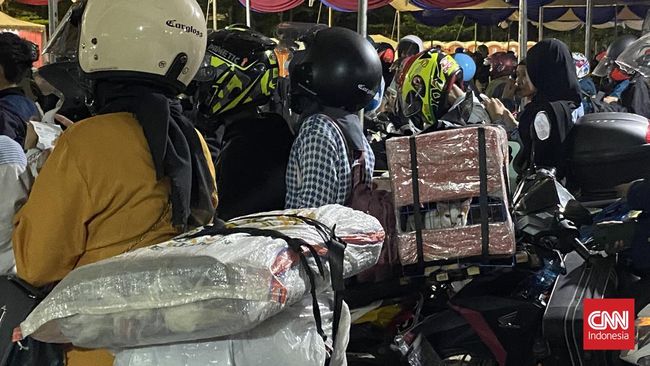Cerita Pemudik Boyong ‘Anabul’ Kucing Kesayangan Mudik Lebaran