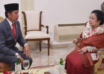 Jokowi Tak Sowan Lebaran ke Megawati, Ali Ngabalin Ungkap Alasannya