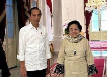 Projo Respons Hasto soal Jokowi Cukup Temui Kader Anak Ranting PDIP