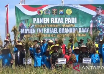 Kodam V/Brawijaya dukung pemda tingkatkan produksi padi