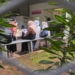 Tahanan Koruptor di Rutan KPK Santap Ketupat-Opor dari Keluarga