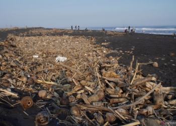 Sampah kiriman banjir Semeru menumpuk di pantai Lumajang