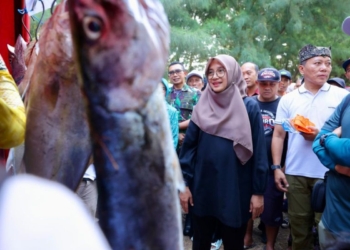 Cepy mancing mania ramaikan Banyuwangi Fishing Festival
