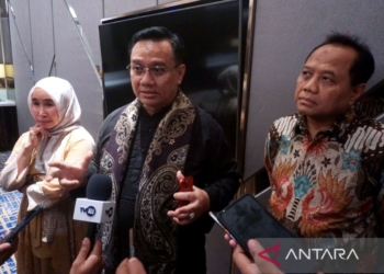 Ombudsman RI siapkan mitigasi penyaluran tambahan pupuk bersubsidi