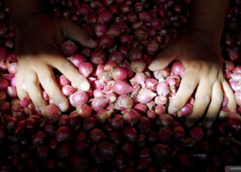 DPRD Surabaya sarankan pemkot tingkatkan kerja sama tekan harga bawang merah