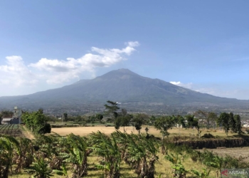 Pengelola Tahura R Soerjo benahi jalur pendakian Gunung Arjuno
