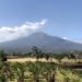 Pengelola Tahura R Soerjo benahi jalur pendakian Gunung Arjuno